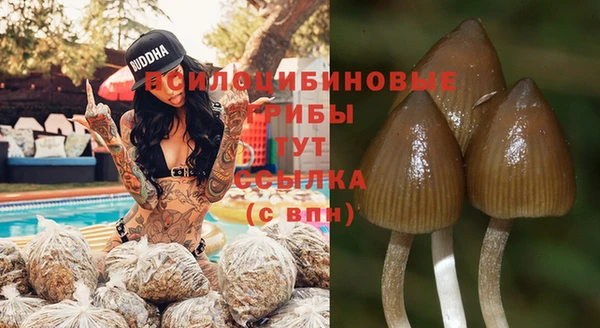 мескалин Белокуриха