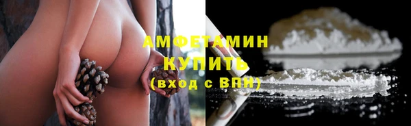 сатива Пестово