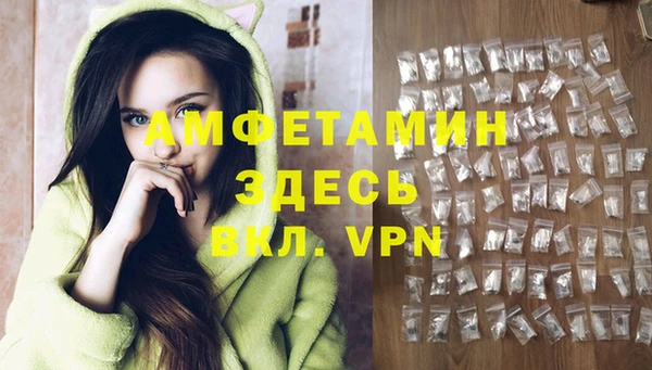 твердый Богородск