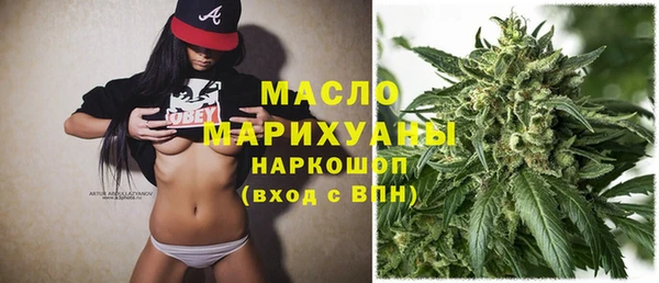 сатива Покачи
