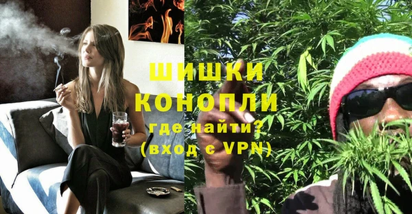 сатива Пестово