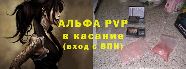 твердый Богданович