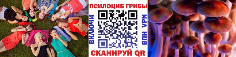 Галлюциногенные грибы Cubensis  Брянск 